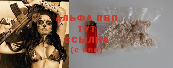 PSILOCYBIN Семилуки