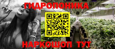 прущие крисы Пенза