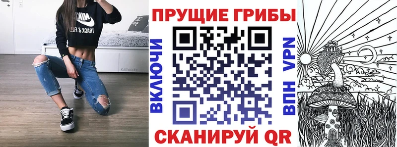 наркотики  kraken зеркало  Псилоцибиновые грибы мицелий  Тара 