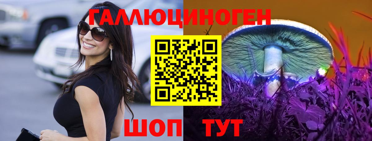 Тара  Псилоцибиновые грибы MAGIC MUSHROOMS  Вход с VPN 